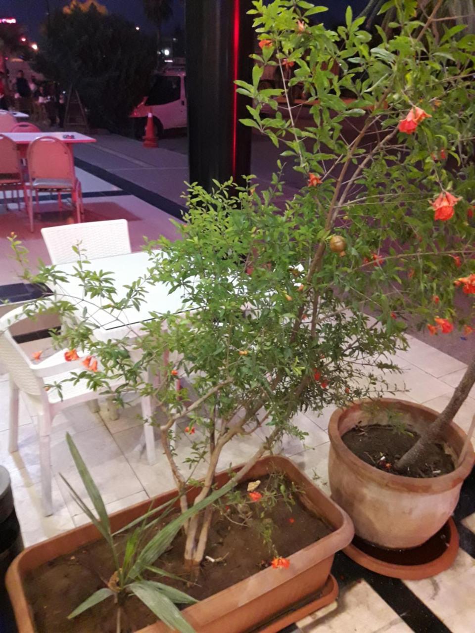 Tahtali Hotel 梅尔辛 外观 照片